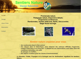 Un site reponsive au meilleur prix